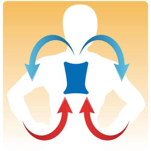 血液の循環イメージ