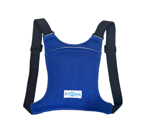 アイスリュックBaby