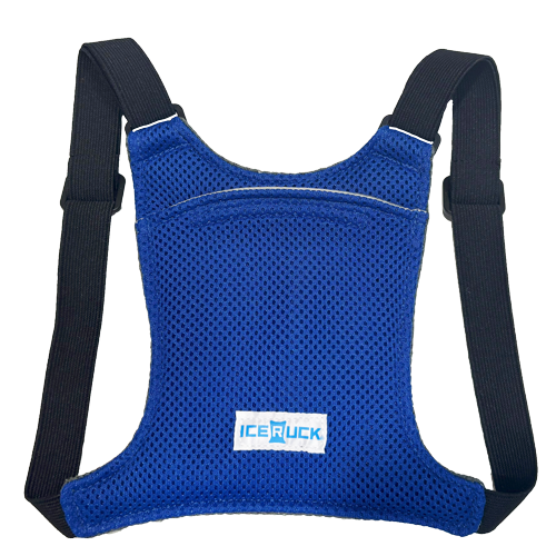 アイスリュックBabyの準備完了