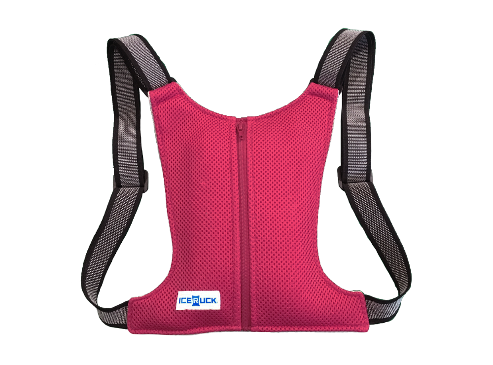 アイスリュックCARE　