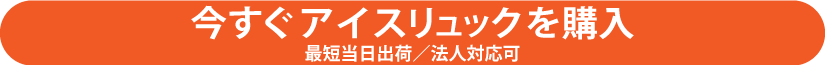アイスリュックを購入